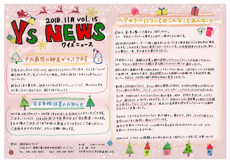Y’sNEWS　2018.11月号のサムネイル